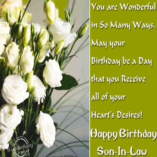You Are Wonderful Son In Law Happy Birthday Image